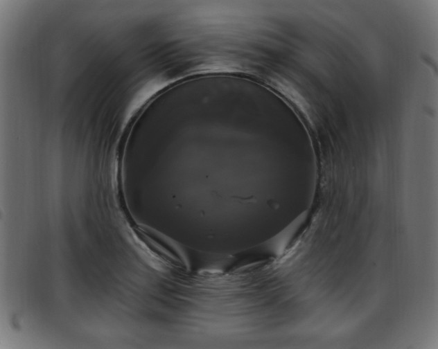 X0000097591179200803071314