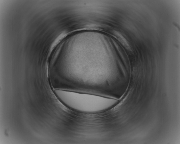 X0000097591180200803071314