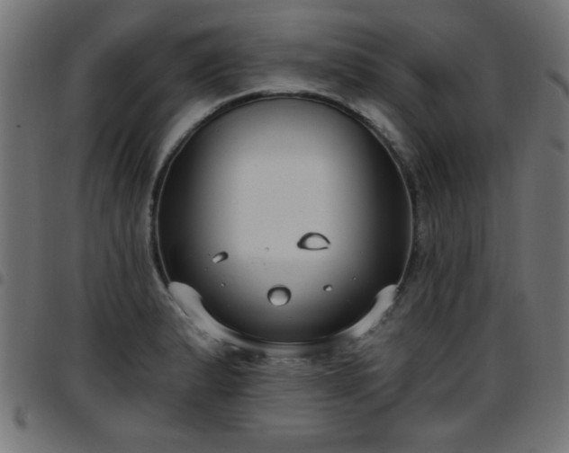 X0000097591183200803071314