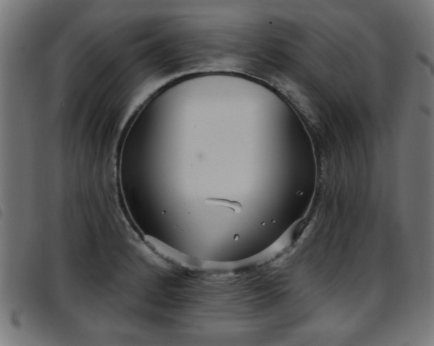 X0000097591184200803071314