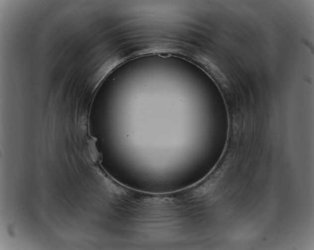 X0000097591185200803071314