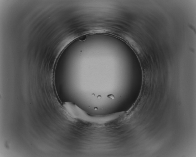 X0000097591186200803071314