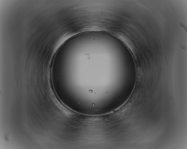 X0000097591187200803071314