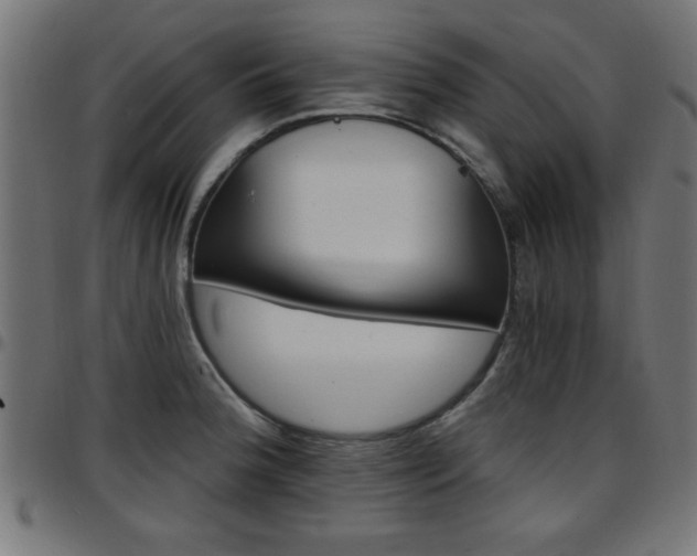 X0000097591188200803071314