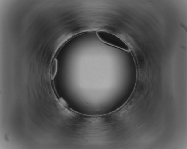 X0000097591189200803071314