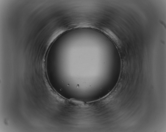 X0000097591190200803071314