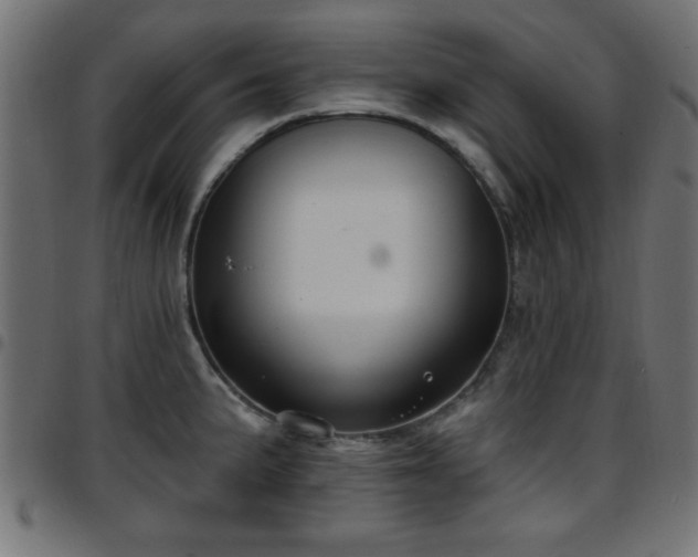 X0000097591191200803071314