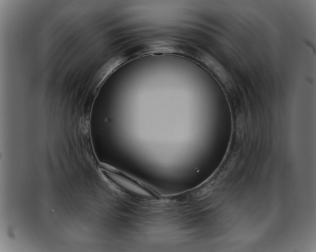 X0000097591193200803071313