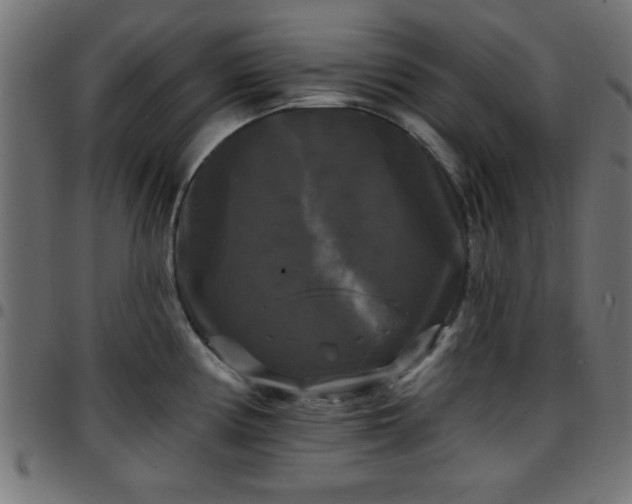 X0000097591194200803071313