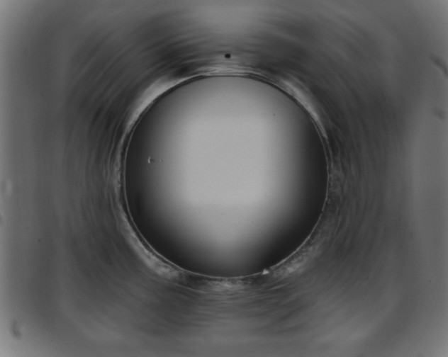 X0000097591195200803071313