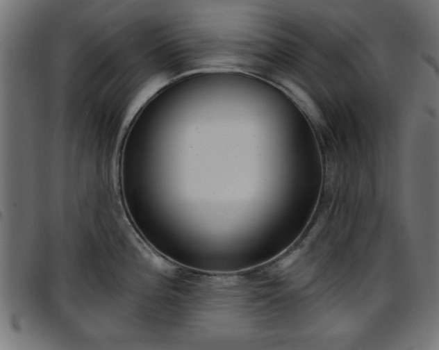 X0000097591196200803071313