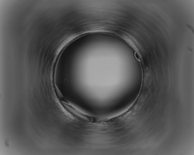 X0000097591197200803071313