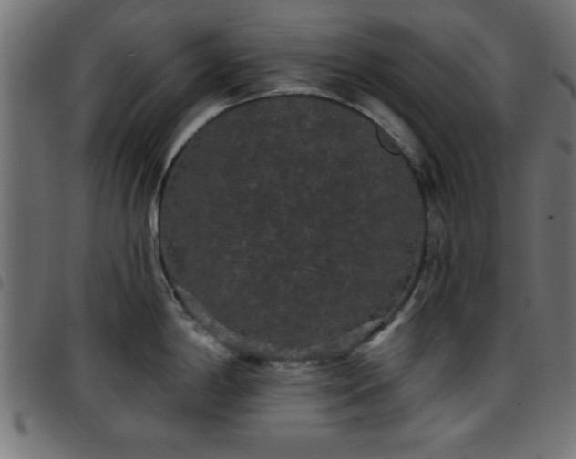 X0000097591198200803071313