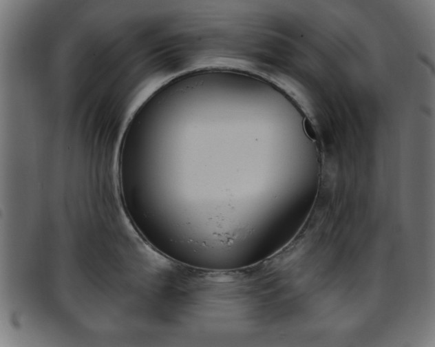 X0000097591199200803071313