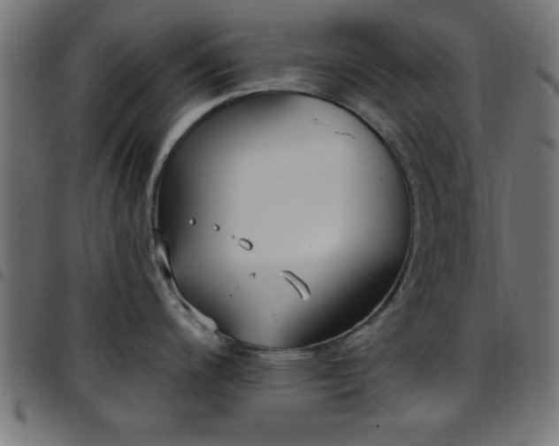 X0000097591200200803071313