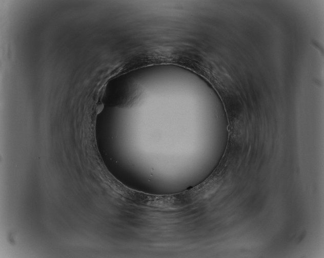 X0000097591201200803071313