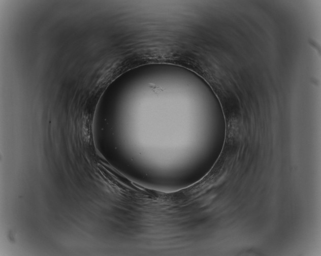 X0000097591202200803071313