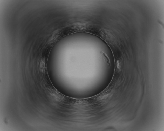 X0000097591203200803071313