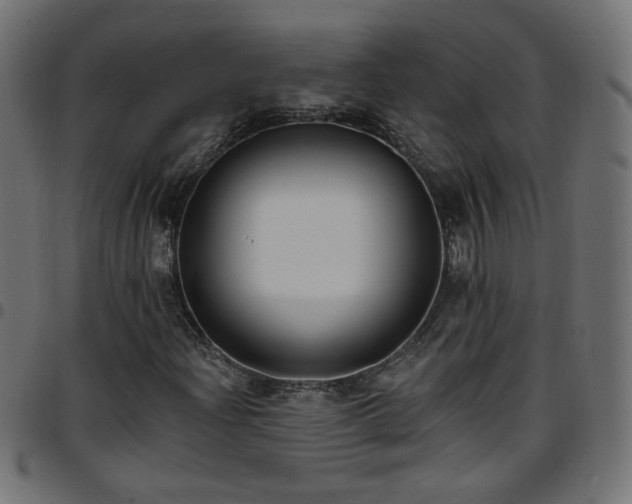 X0000097591204200803071313