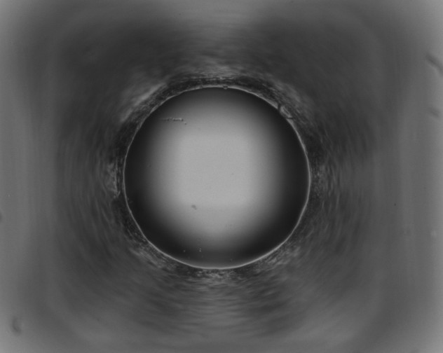 X0000097591205200803071313