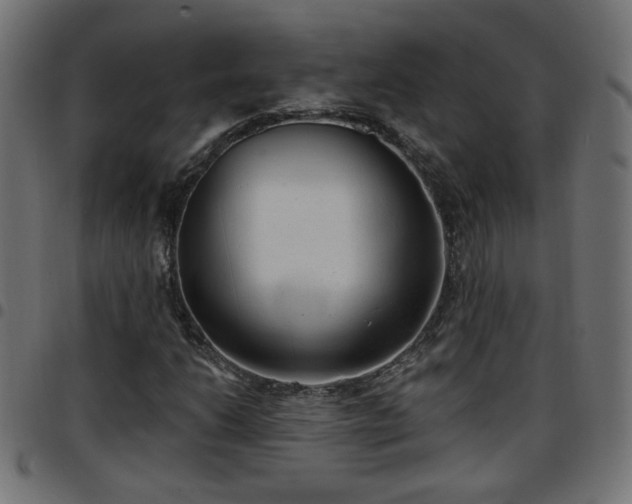 X0000097591206200803071313