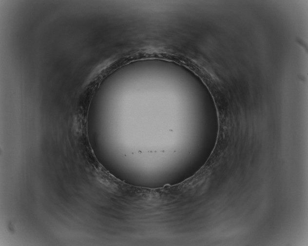 X0000097591207200803071313