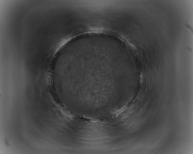 X0000097591208200803071313