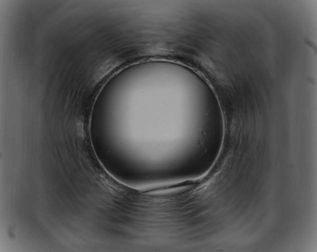 X0000097591209200803071313