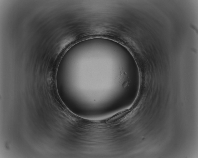 X0000097591210200803071313