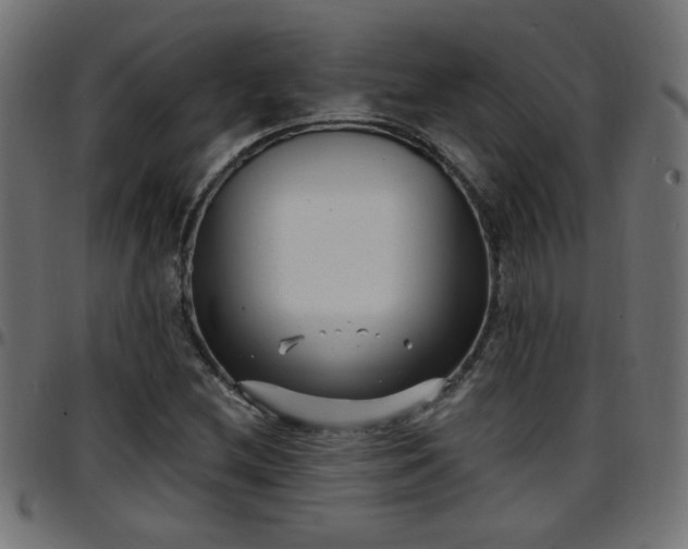 X0000097591212200803071313