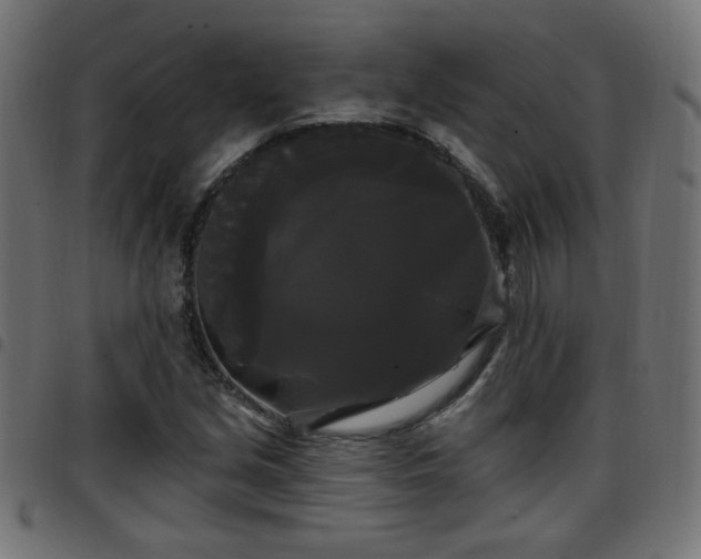 X0000097591213200803071313