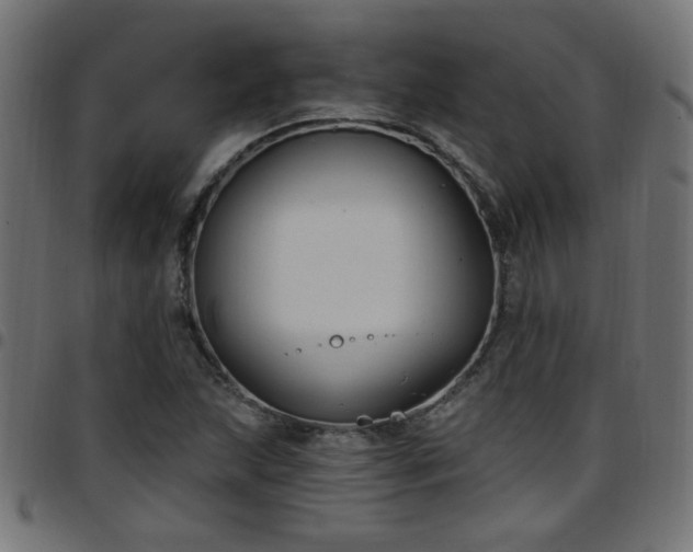 X0000097591215200803071313