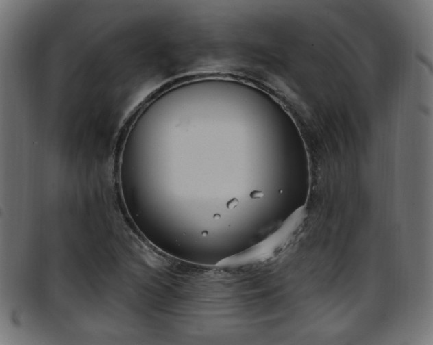 X0000097591216200803071313