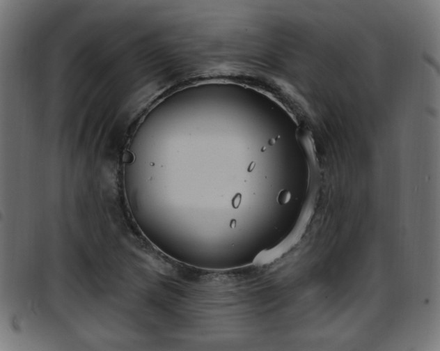 X0000097591217200803071313