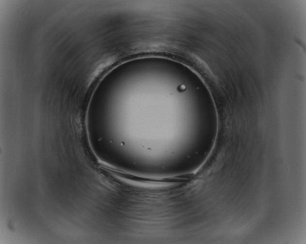 X0000097591218200803071313