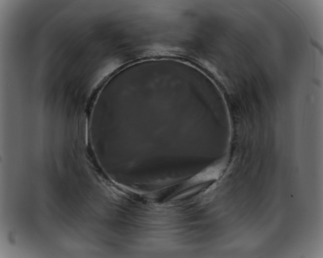 X0000097591219200803071313