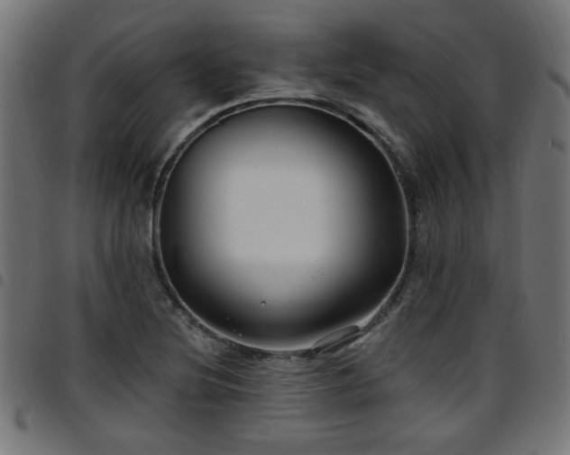 X0000097591220200803071313