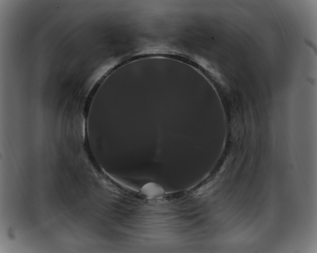 X0000097591221200803071313