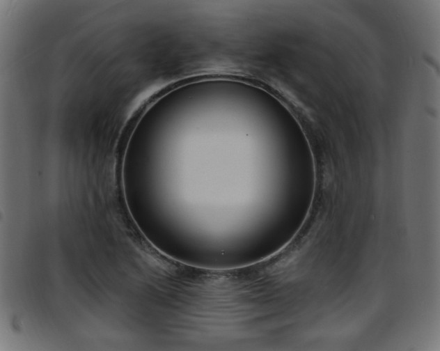 X0000097591222200803071313