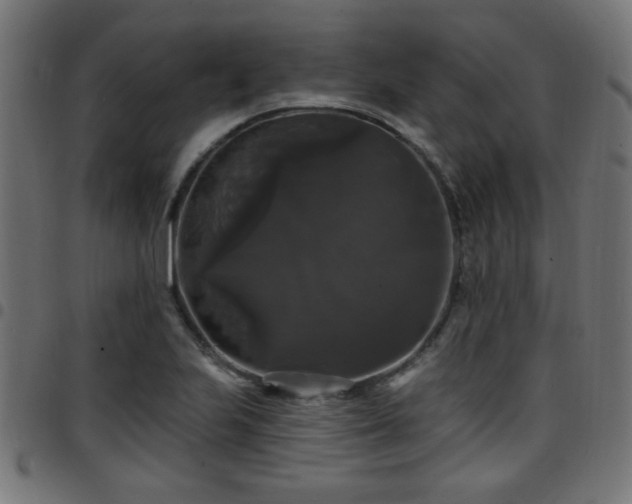 X0000097591223200803071313