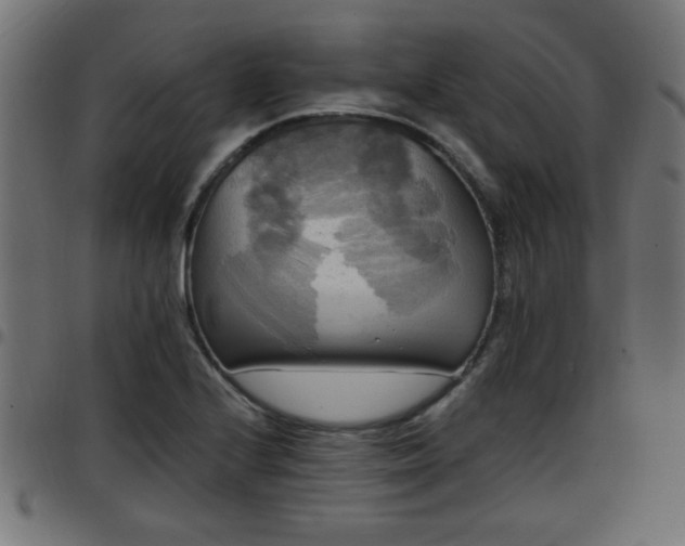 X0000097591224200803071313