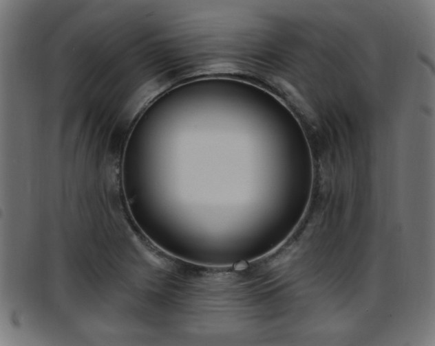 X0000097591225200803071313