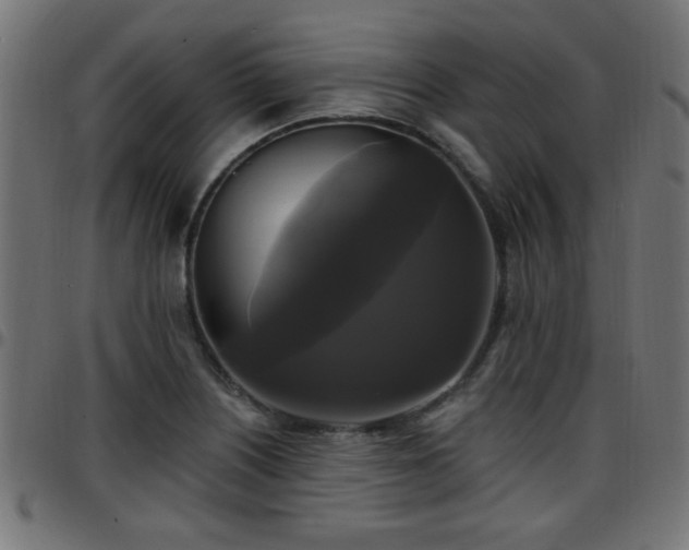 X0000097591226200803071313