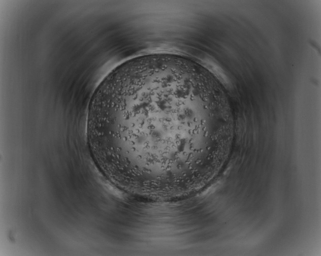 X0000097591228200803071313