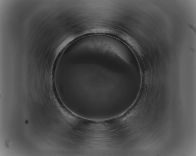 X0000097591229200803071313