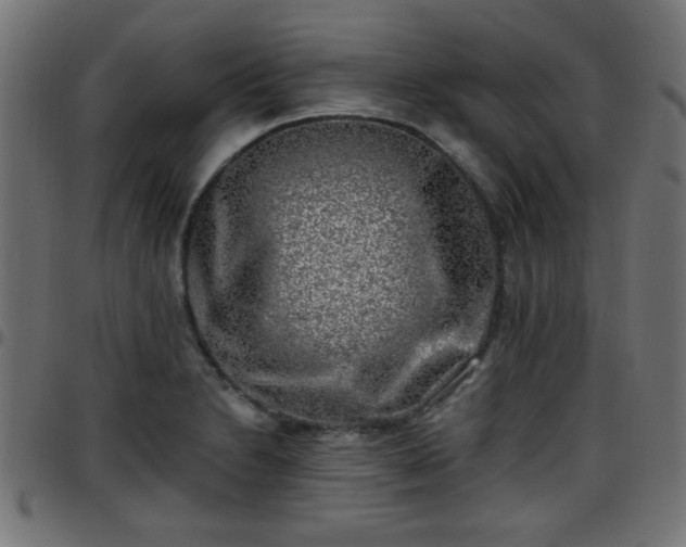 X0000097591230200803071313