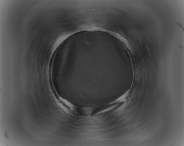 X0000097591231200803071313