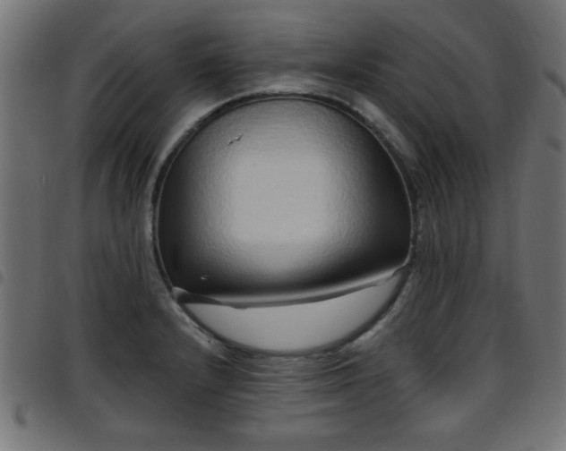 X0000097591232200803071313