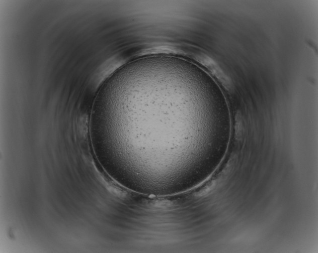 X0000097591233200803071313