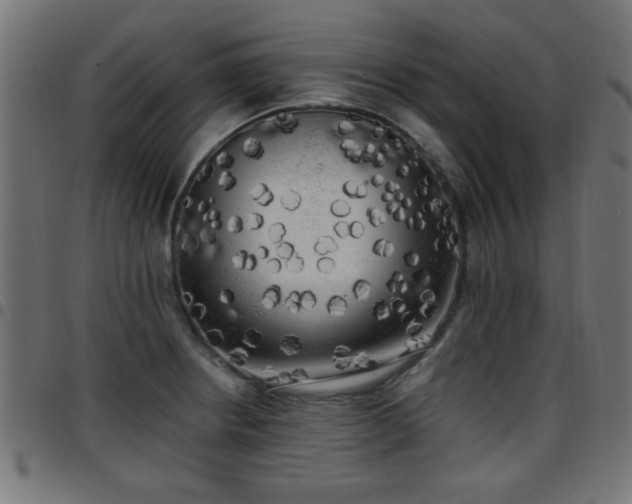 X0000097591234200803071313